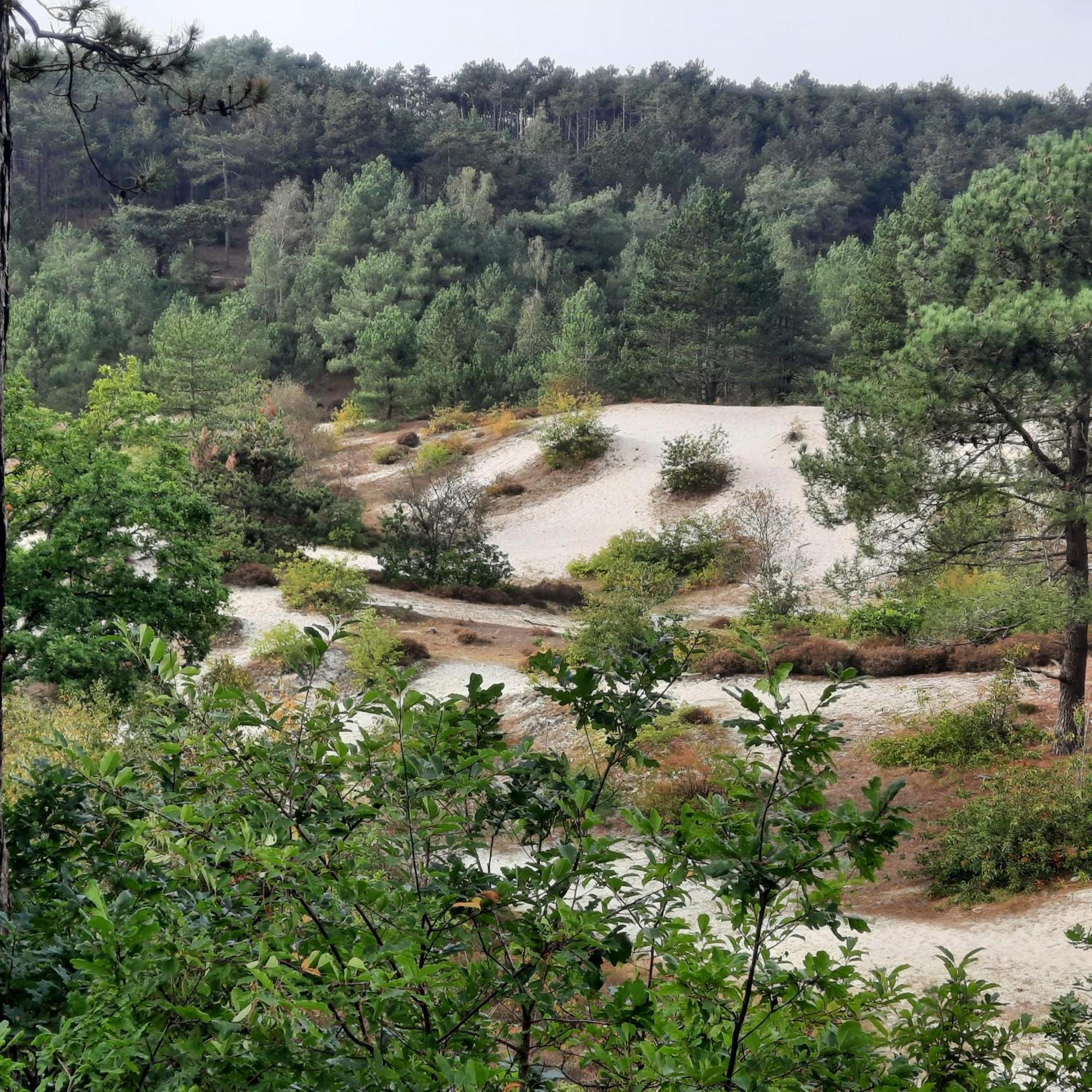 Meertje Villa 81 Op Recreatiepark De Wielen Синт Мартен Екстериор снимка
