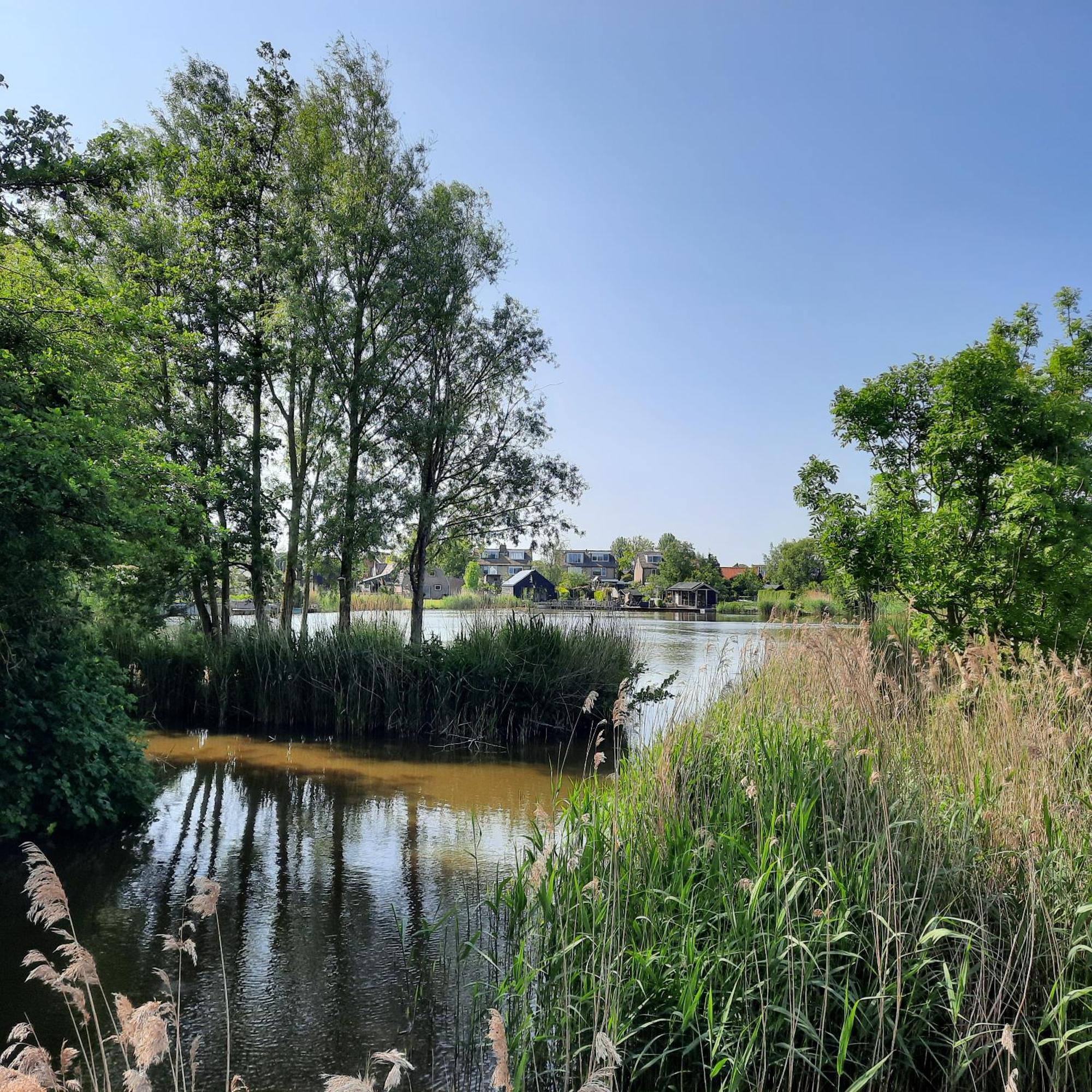 Meertje Villa 81 Op Recreatiepark De Wielen Синт Мартен Екстериор снимка