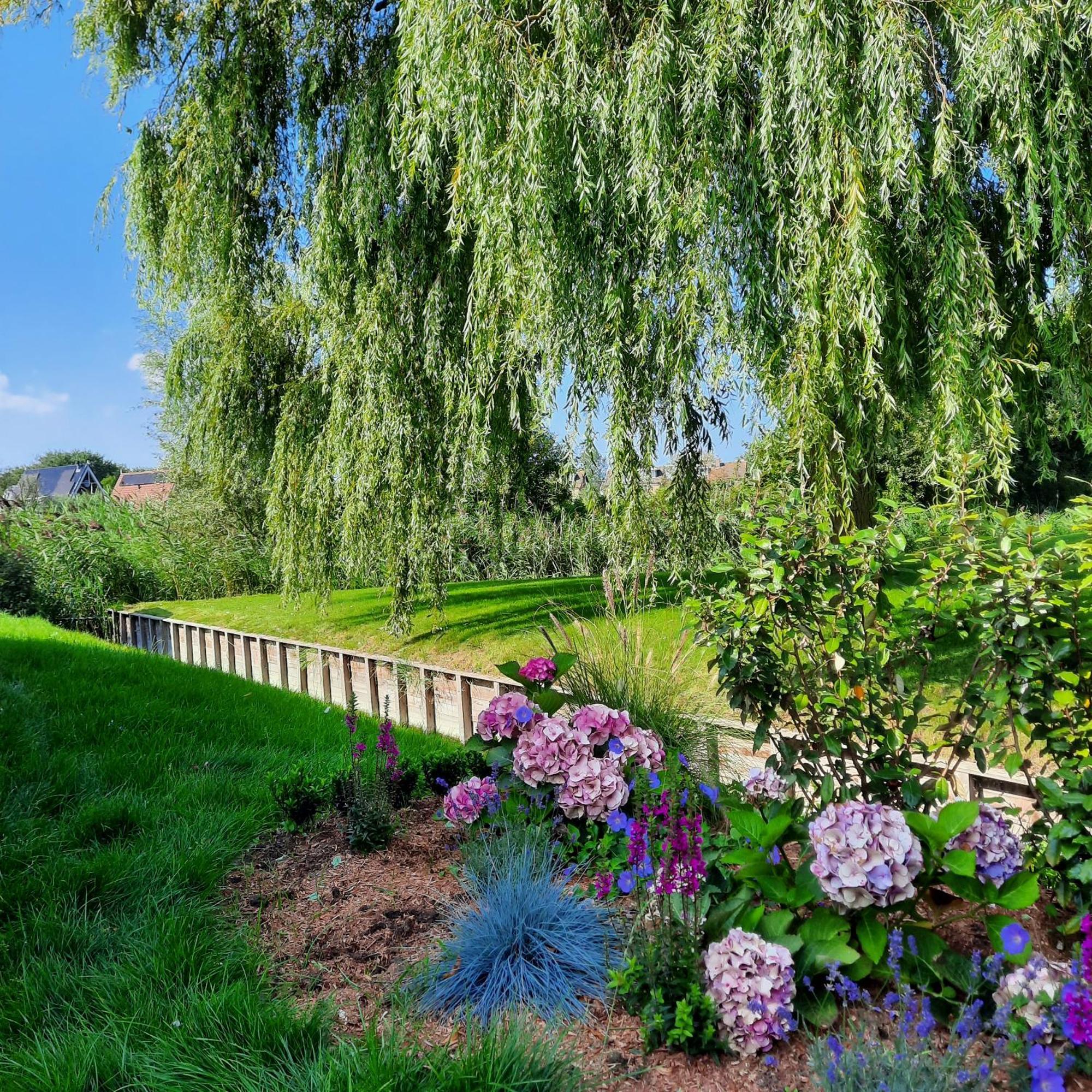 Meertje Villa 81 Op Recreatiepark De Wielen Синт Мартен Екстериор снимка
